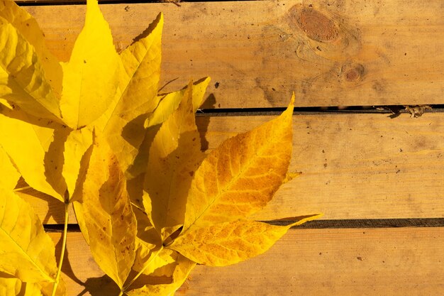 Autumn leaves on a wooden background with copy space