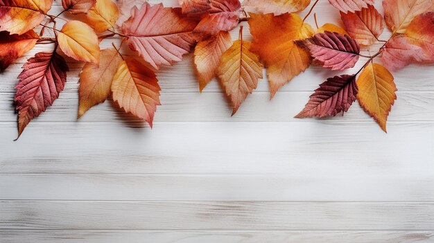 autumn leaves on wooden background with space