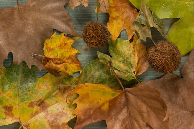 Autumn leaves over wooden background 