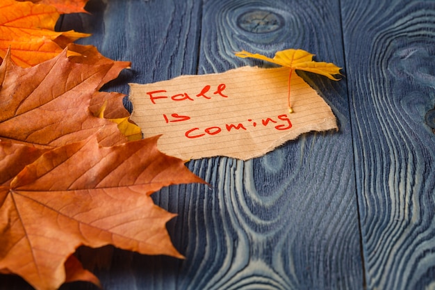 Fogli di autunno sopra priorità bassa di legno