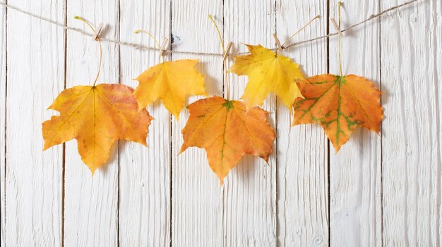 Autumn leaves on wooden background