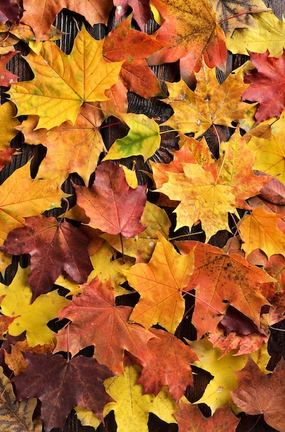 Autumn leaves on wooden background.