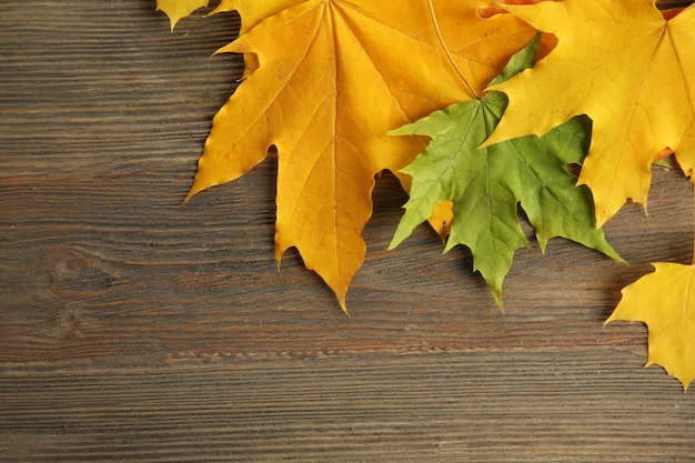 Autumn leaves on the wooden background