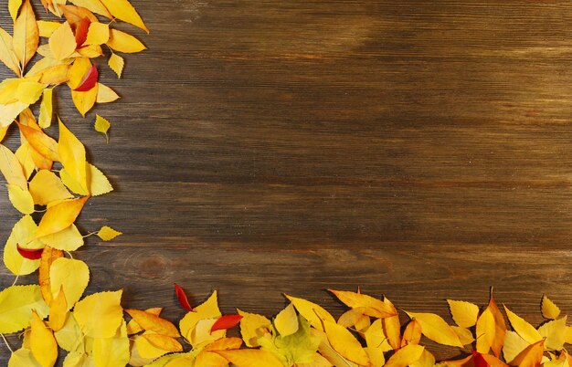 Autumn leaves on wooden background