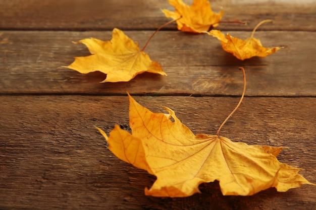 Autumn leaves on the wooden background