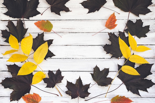 Autumn leaves on a wooden board, white background.