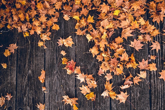 Autumn leaves on a wooden floor