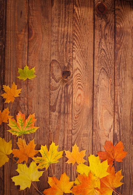 Autumn leaves on wooden table