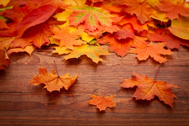 Foglie di autunno su un tavolo di legno