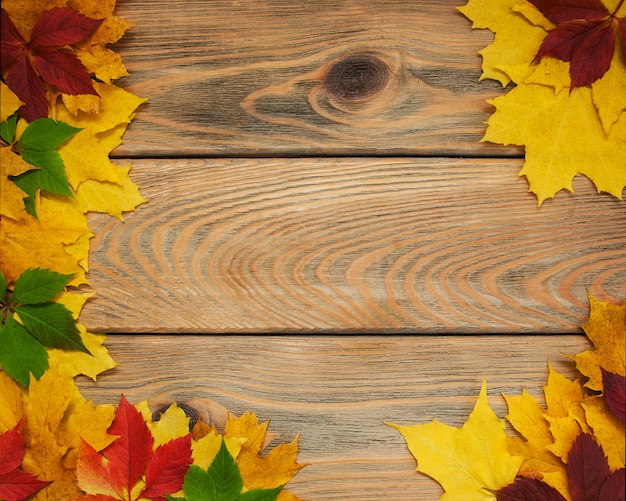 Autumn leaves on wooden table