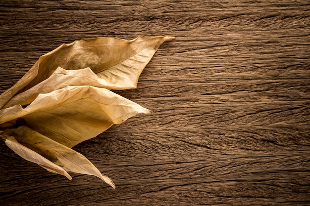 Autumn Leaves over wooden texture background. space