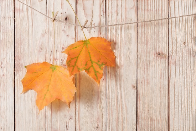 Autumn leaves on wooden wall