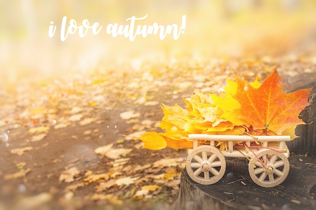 Autumn lettering card. maple leaves on a wooden cart.