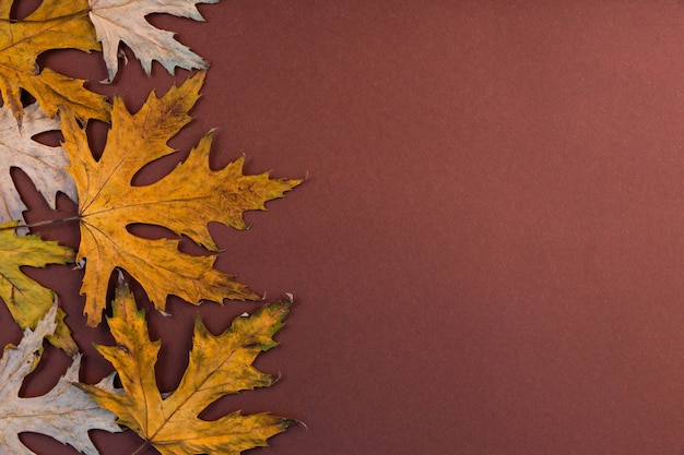 コピースペースのある古い木製の背景に秋、カエデ、乾燥した黄色の葉。
