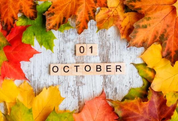 秋のカエデの葉の碑文 10 月 1 日テーブル秋の背景 fla 上の木製の文字で