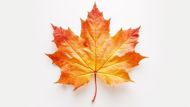 Autumn maple leaf isolated on white background Generative Ai