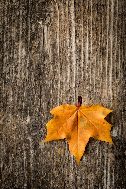 Foglia di acero di autunno sopra vecchio fondo di legno