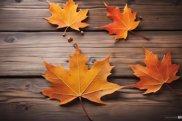 Autumn maple leaf on a wooden background