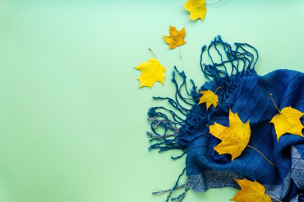 Autumn maple leaves and blue scarf