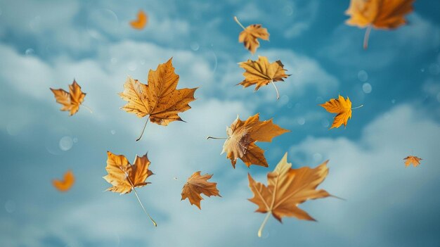 Autumn maple leaves flying in the blue sky background