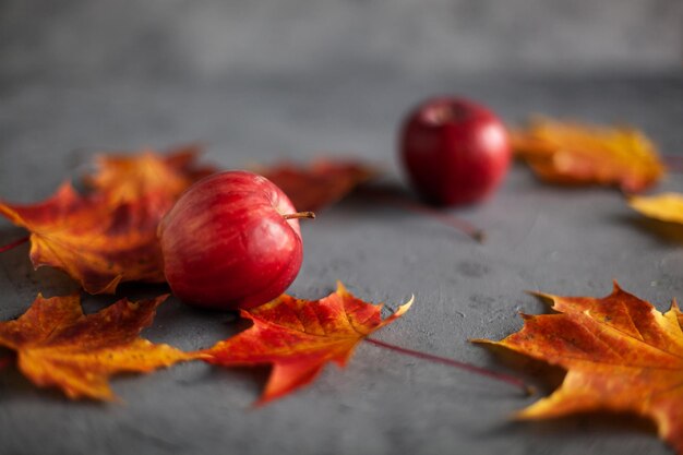 Autumn marple leaves and ripe garden red apples on gray concrete fruits concept