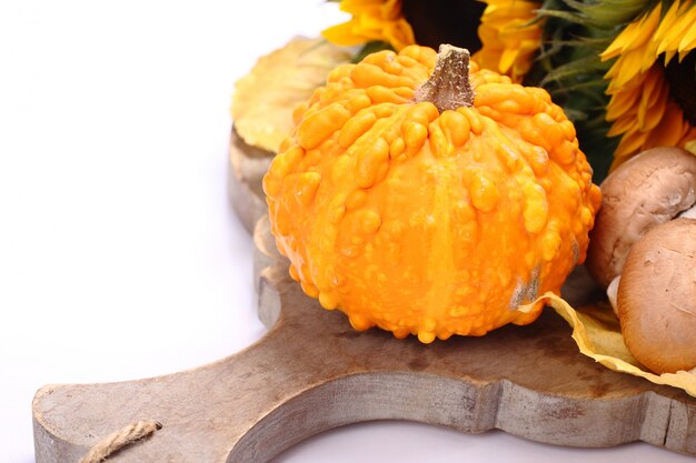 Autumn mini pumpkin on old wooden board over white