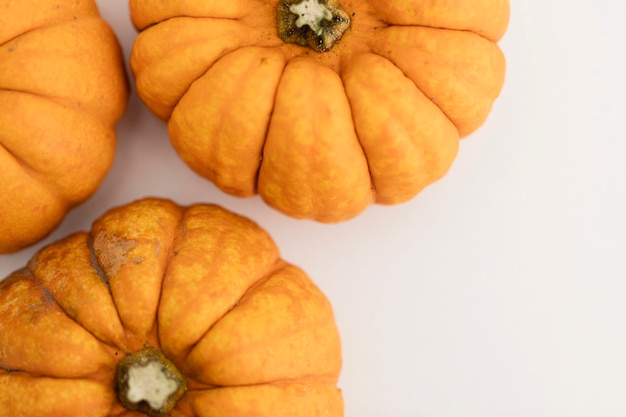 Autumn mini pumpkins