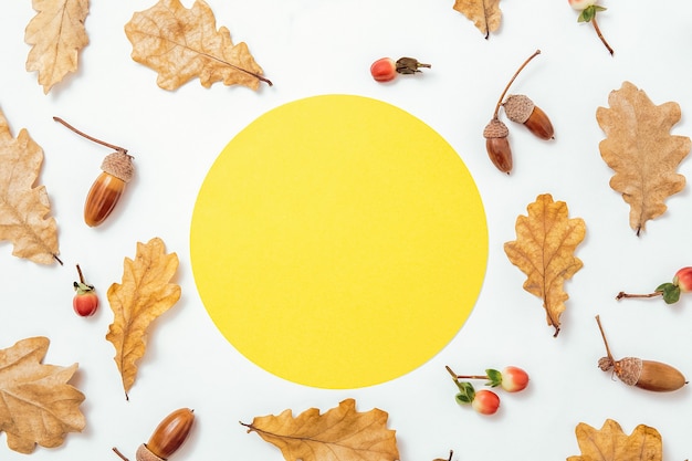 Autumn minimal composition. Wreath of acorns, golden aok leaves and red berries on white background. Yellow circle form frame mockup for text. Autumn design element. Flat lay, top view, copy space.