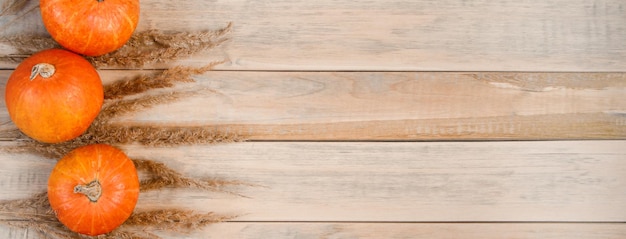 Autumn minimalistic background Ripe pumpkins and ears of wheat on wooden boards Harvest and Thanksgiving concept