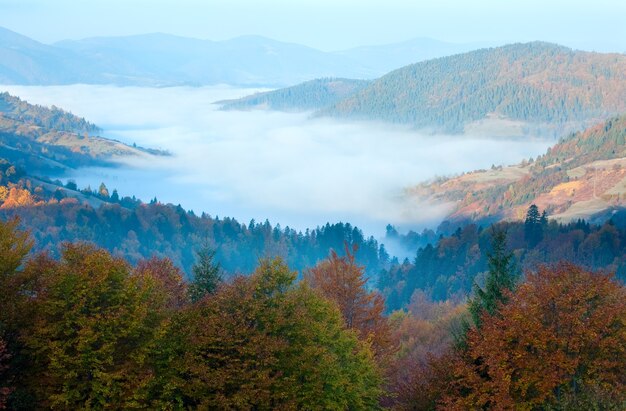 秋の霧の朝の山の谷（カルパティア山脈、ウクライナ）。