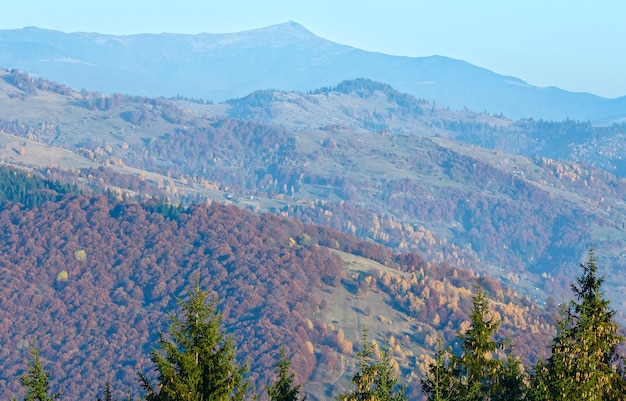 斜面に色とりどりの木々があり、正面に円錐形のモミの木がある秋の霧深い山の風景。