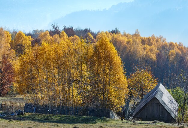Осенний туманный склон горы с желтыми березками и крышей деревянного дома.