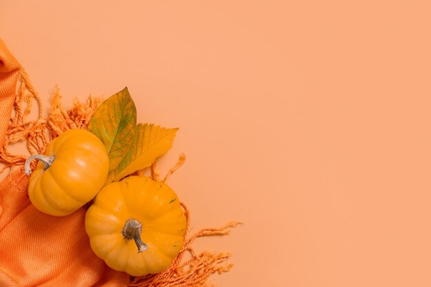 Autumn monochrome flat lay composition Copy space Autumn flat lay composition with two pumpkins fallen leaves on orange scarf top view