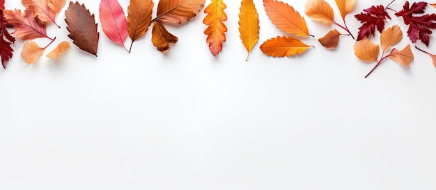 Autumn Mood Background is a depiction of a frame composed of dried autumn leaves on a white background