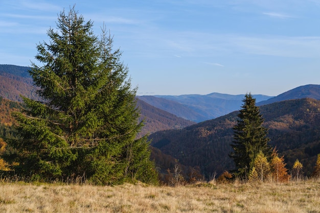 Autumn morning Carpathian Mountains calm picturesque scene Ukraine Peaceful traveling seasonal nature and countryside beauty concept scene