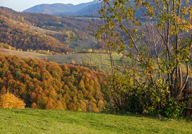 秋の朝カルパティア山脈穏やかな絵のようなシーン ウクライナ平和旅行季節の自然と田舎の美しさのコンセプト シーン