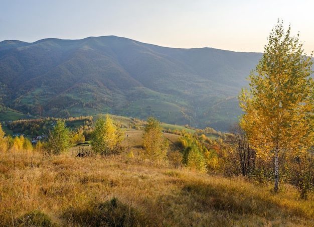 Autumn morning Carpathian Mountains calm picturesque scene Ukraine Peaceful traveling seasonal nature and countryside beauty concept scene