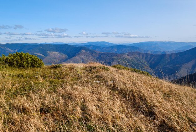 Autumn morning carpathian mountains calm picturesque scene\
ukraine