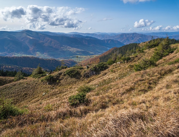 Autumn morning Carpathian Mountains calm picturesque scene Ukraine