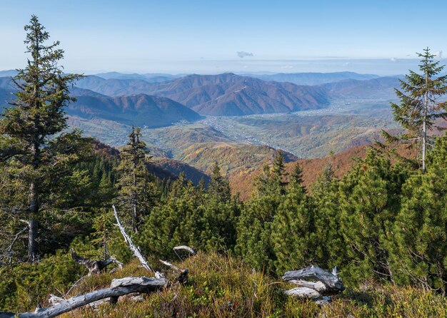 Autumn morning Carpathian Mountains calm picturesque scene Ukraine