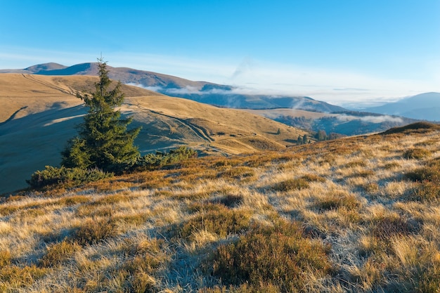 Autumn morning  mountain view with country road (Carpathian Mt's, Ukraine).