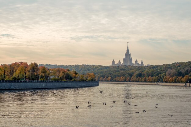 Фото Осеннее утро на воробьевых горах перелетные птицы летают над москвой-рекой.