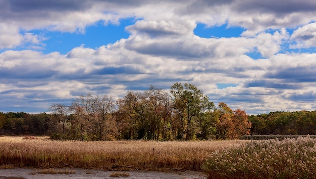 Autumn at the morning park sky clouds autumn trees