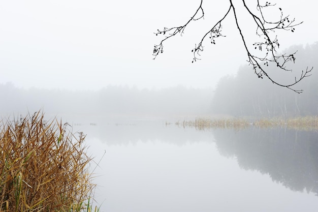 Autumn morning