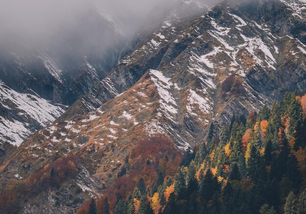 山の森の秋