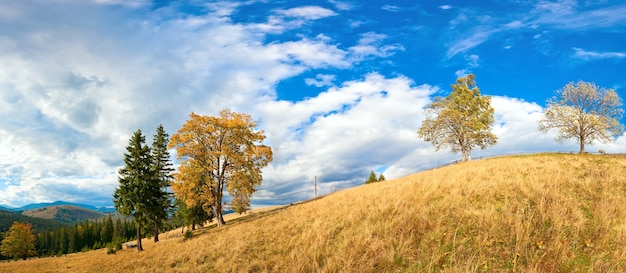 Collina di montagna d'autunno con alberi colorati (carpazi, ucraina). un'immagine del punto di quattro colpi.