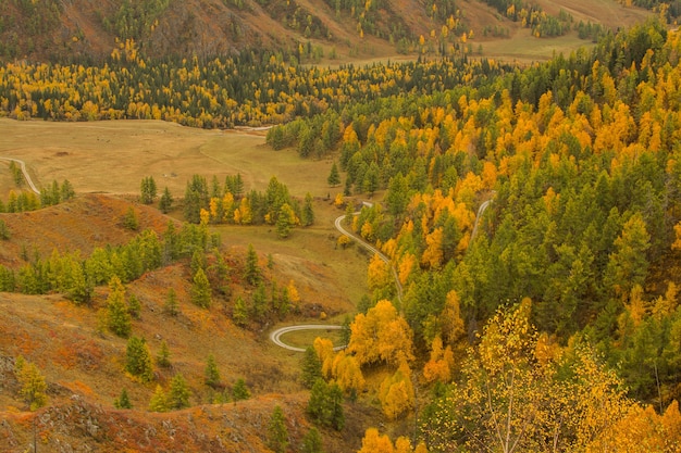 写真 秋の山の風景。ゴルノアルタイの山々の秋。アルタイへの旅行。