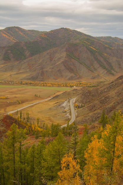 写真 秋の山の風景。ゴルノアルタイの山々の秋。アルタイへの旅行。