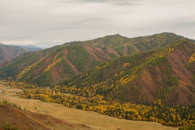 Фото Осенний горный пейзаж. осень в горах горного алтая. путешествие на алтай.