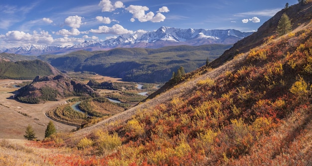 秋の山の風景の日光